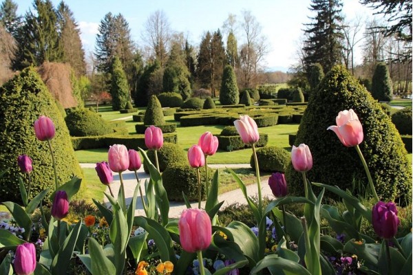 Terme Snovik in flowers and greenary of Arboretum